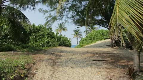 Gate to the beach Stock Footage 12185031