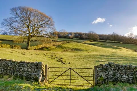 A gate in a dry stone wall Stock Photos
