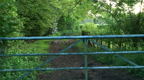 A gate Stock Footage 37556111