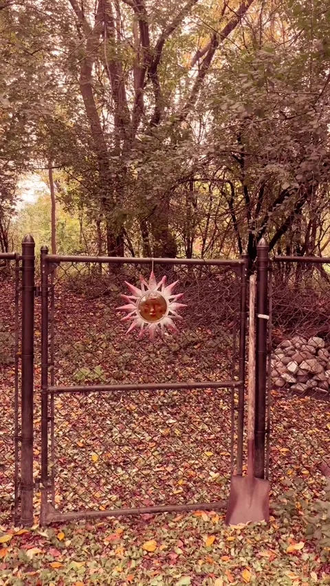 A gate Stock Footage 279523726