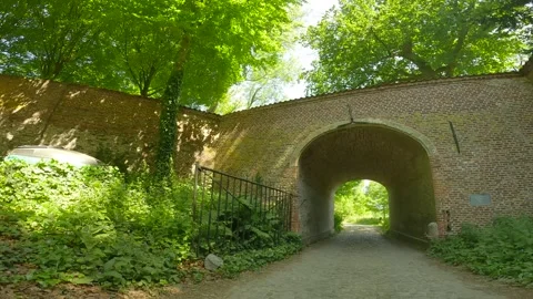 A gate in a forest with plants to the side in daylight. Stock Footage 244587975