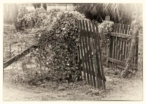 Gate to the garden Stock Photos