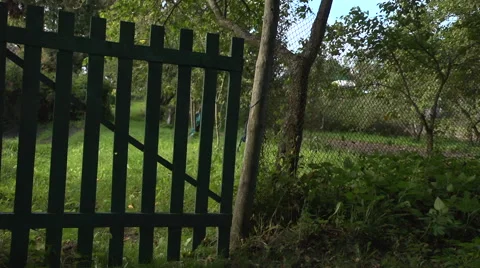 Gate in the garden swaying in the wind Stock Footage 55337903
