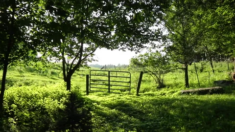 GATE TO GREEN PASTURE Video stock 188905212