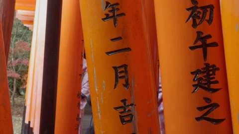 Gate Inscriptions Stock Footage 316065725