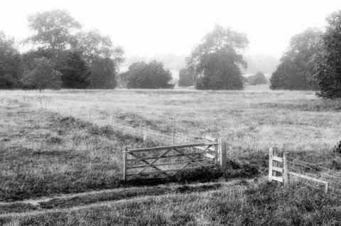 Gate in a meadow Stock Photos