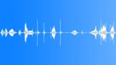 Gate metal open closeSound Effect