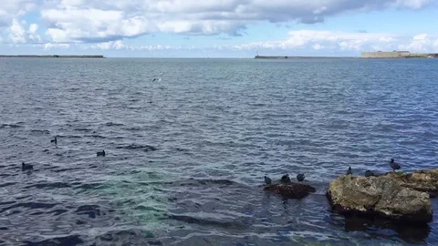 Gate to the open sea Stockbeeldmateriaal 85824281