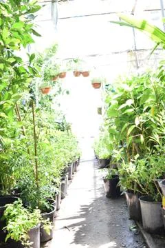 Gate or arbor into a garden.Day time photography from Abu Dhabi . Stock Photos