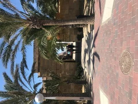 Gate with palm trees on a square Stock Photos