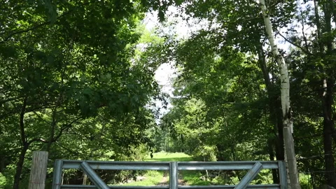 GATE IN PATH 스톡 동영상 188900979