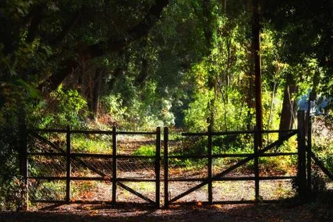 The gate Stock Photos