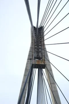 The gate Stock Photos