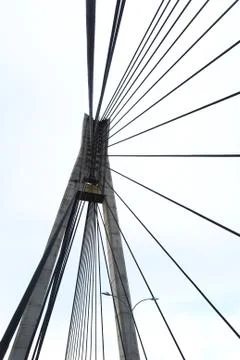 The gate Stock Photos