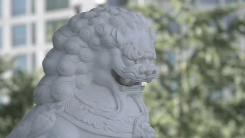Gate stone lion Stock Footage 185827255