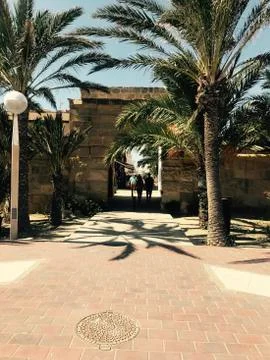 Gate surrounded  by palm trees Stock Photos