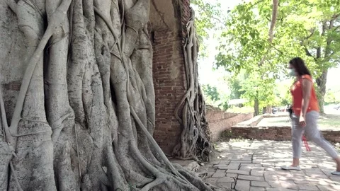 Gate of Time at Wat Phra Ngam Temple Ayutthaya, Thailand Stock Footage 157158737