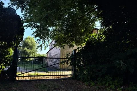 Gate under an arching tree in a park at sunset Stock Photos