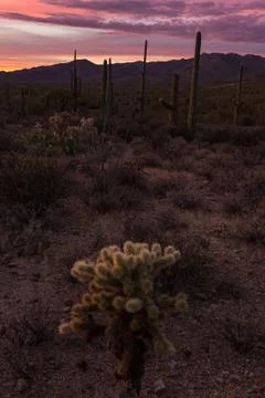 Gates Pass Sunset Stock Photos