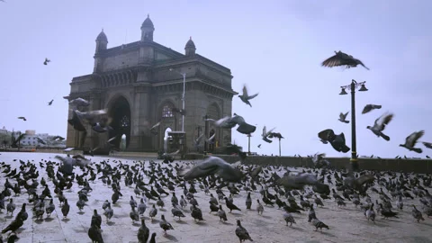 Gateway Of India 動画素材 133902700