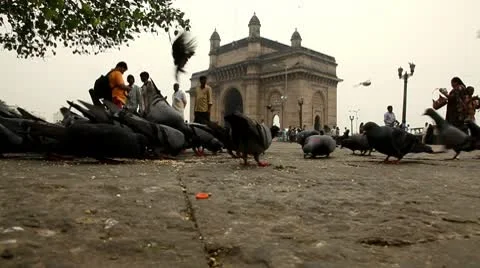 Gateway Of India-Mumbai Stock Footage 10685517