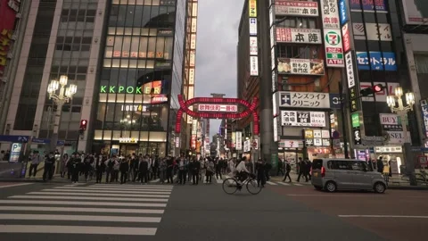 Gateway to Kabukicho Stock Footage 342202524