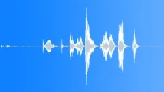 GATE,WOOD Sound Effect