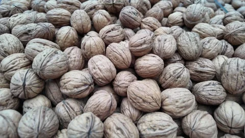 Gathering and processing walnuts during harvest time in a local market Stock Footage 346114628