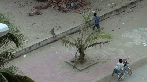 Gathering Bricks Stock Footage 356589