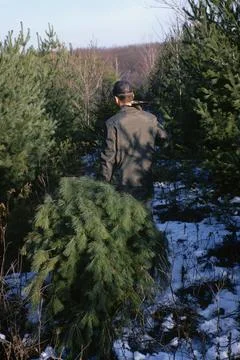 Gathering Christmas Tree 스톡 사진