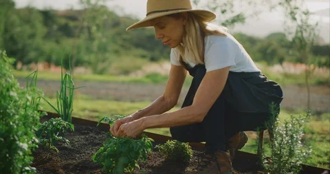 Gathering herbs for dinner Stock Footage 107034956