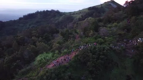 Gathering on a Hillside in Nature Stock Footage 280017904