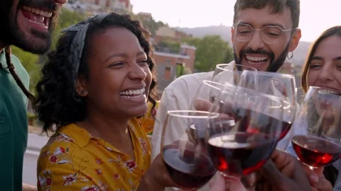 Gathering of multi-ethnic friends celebrating a party on the rooftop toasting Stock Footage 268024208