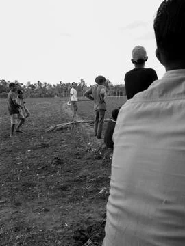 Gathering Stock Photos