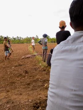 Gathering Stock Photos