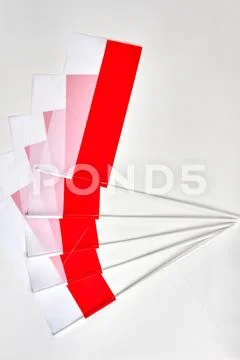 Gathering of polish flags. Stock Photos