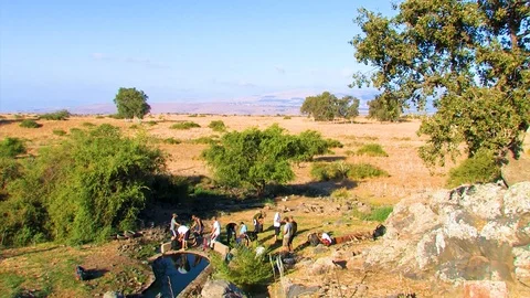 Gathering at pool in Golan Stock Footage 89479833