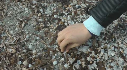 Gathering shells on the beach. 스톡 동영상 65495056