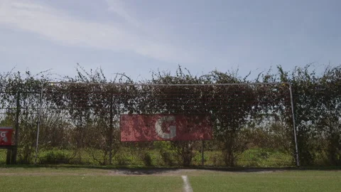 Gatorade on the Sidelines of a Soccer Field Stock-Footage 141086336