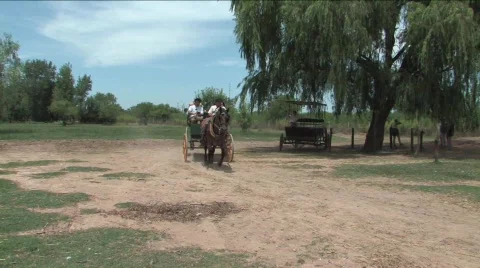Gaucho driving a wagon Stock Footage 663381