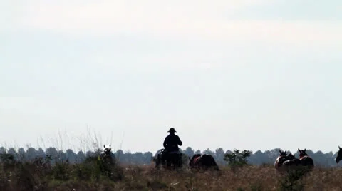 Gauchos herding horses Stock-Footage 24674253