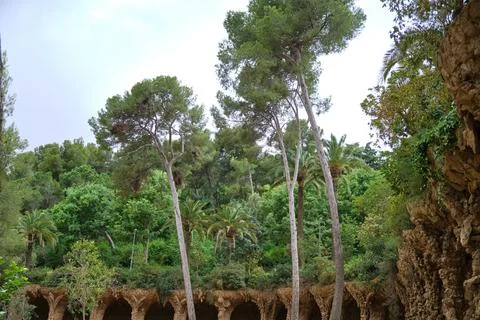 Gaudi Waves building with trees in the background, Spain Catalonia, Barcelona Fotos de archivo