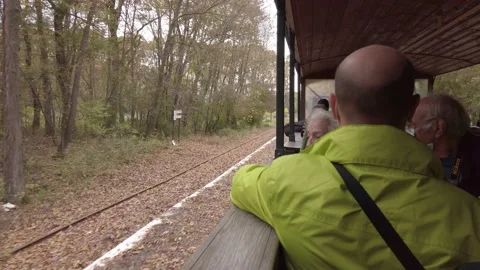Gauge rail  train ride during pandemic people wearing mask nature forest Stock-Footage 145728631
