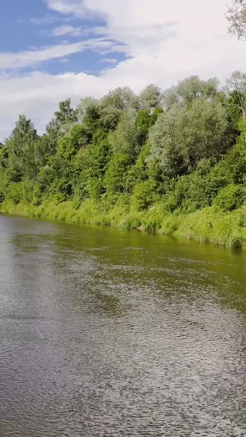 Gauja River Flowing Beside Dense Woodland Near Sigulda Video stock 345095209