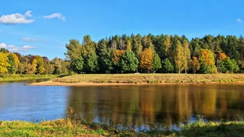 Gauja river flowing through autumn forest foliage in Valmiera, Latvia on sunny 스톡 동영상 330990656