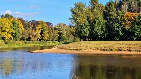 Gauja river flowing through the forested landscape creating a vibrant fall Stock-Footage 330990664