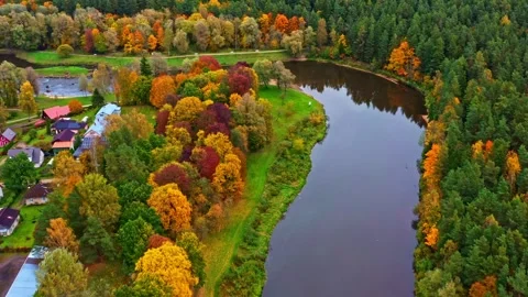 Gauja river flowing through Valmiera, autumn forest changing colors in aerial Vídeo Stock 330986198