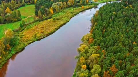 Gauja river winds through dense trees with vibrant autumn foliage and lush bank 스톡 동영상 330986278