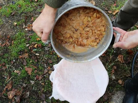 Gauze filter for straining apple grounds for home drinks Stock Photos