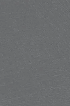 Gauze Texture Gray2 Stock Illustration